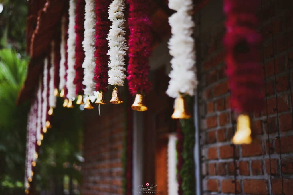 trinesh photographer